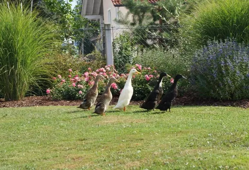Pensione Gästehaus Wagner