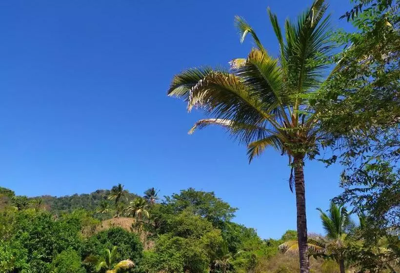ペンション Hostal Recuerdos Del Tayrona