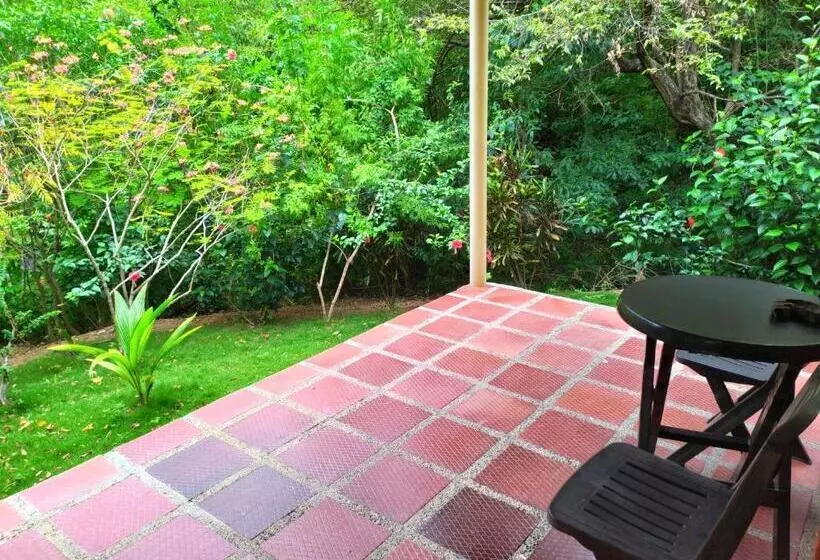 ペンション Hostal Recuerdos Del Tayrona