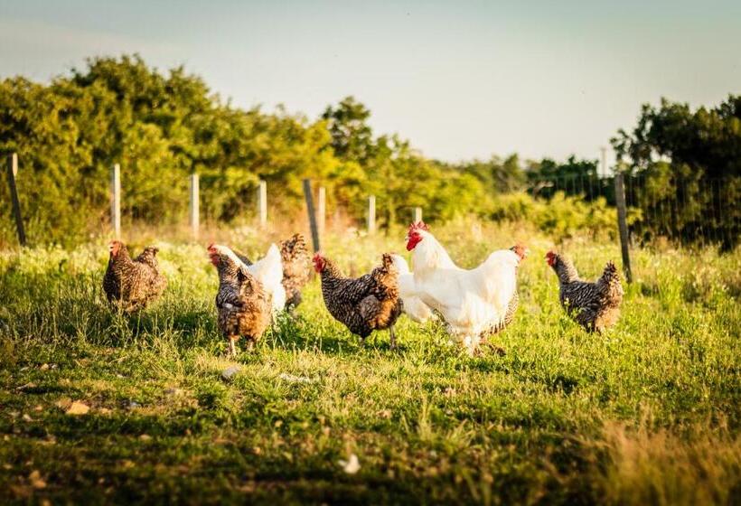 بنسيون öregtölgy Vendégház