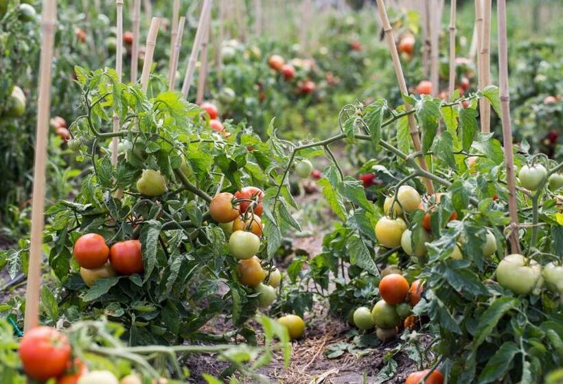 بنسيون öregtölgy Vendégház