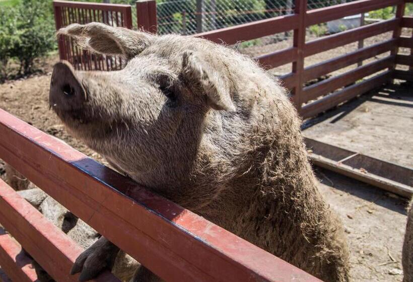 بنسيون öregtölgy Vendégház