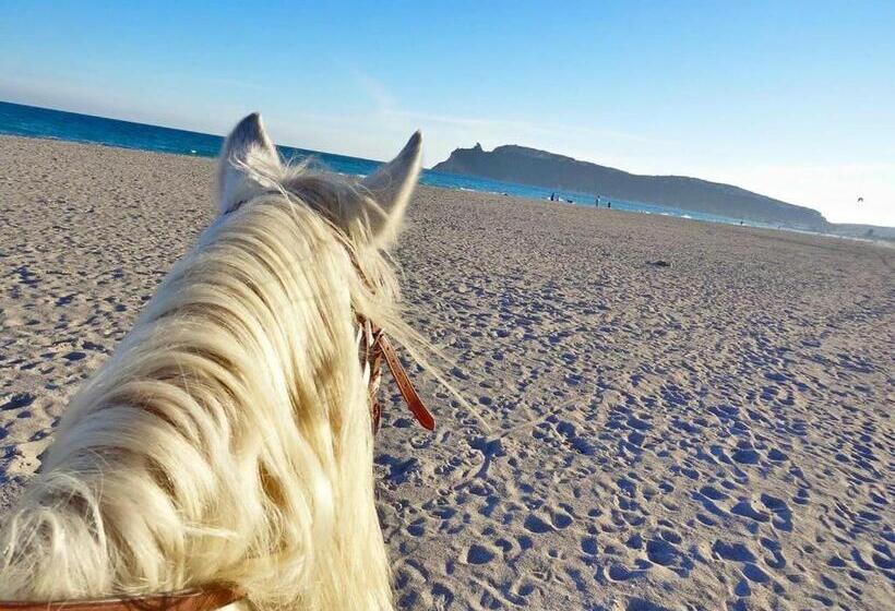 منتجع Casa Vacanze Villa Flumini