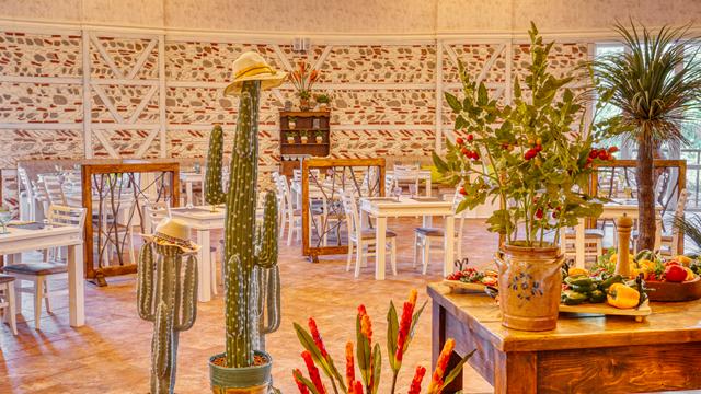 Dit Evrika Beach Club Hotel   All Inclusive