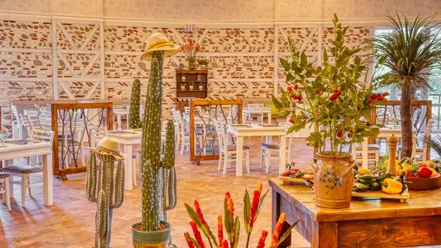 Dit Evrika Beach Club Hotel All Inclusive