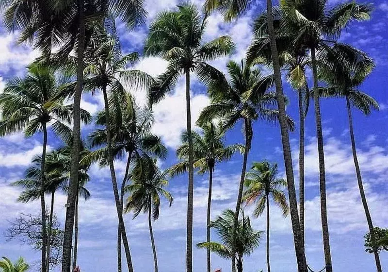 هتل Bahia Las Ballenas