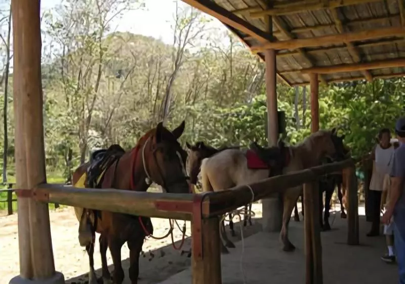 Отель Casa Caletas