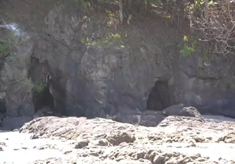 Отель Casa Caletas