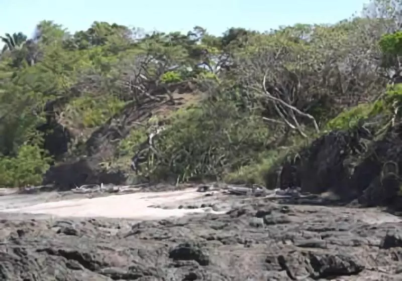 Отель Casa Caletas