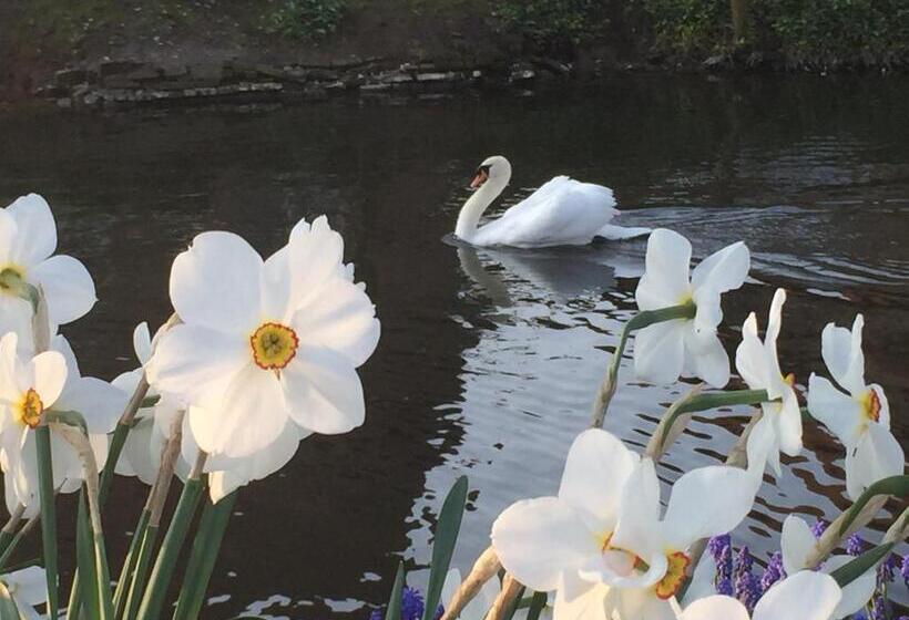 B&b De Rentmeesterhoeve