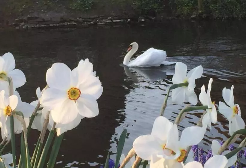 B&b De Rentmeesterhoeve