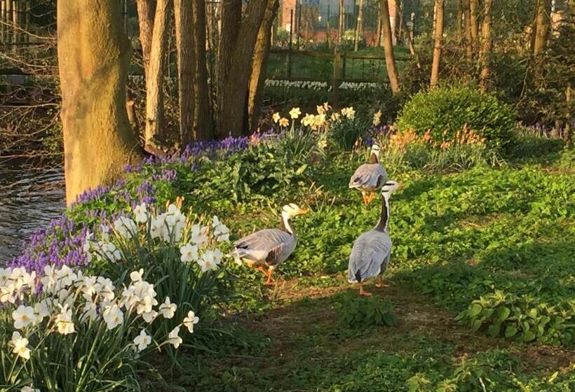 B&b De Rentmeesterhoeve