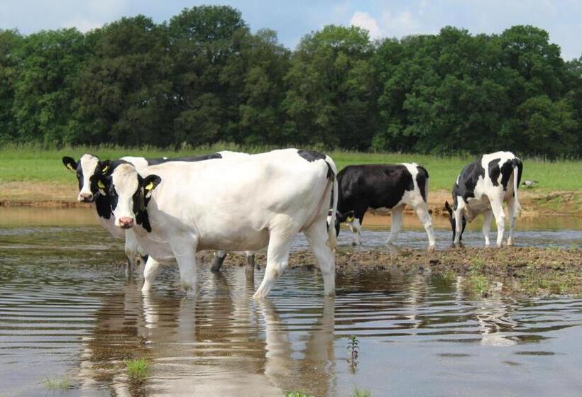 ベッドアンドブレックファースト Erve Praestinck