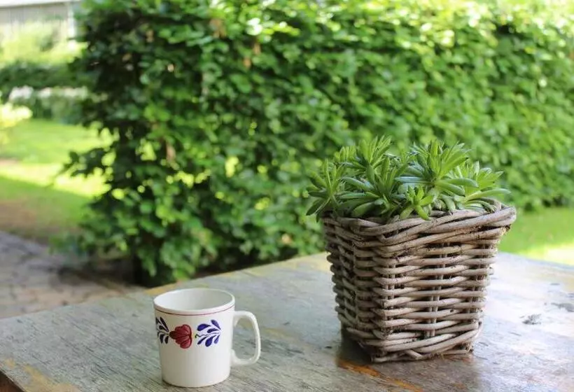 Aamiaismajoitus (B&B) Erve Praestinck