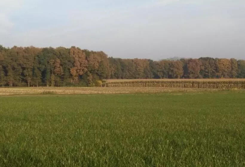 Aamiaismajoitus (B&B) Erve Praestinck