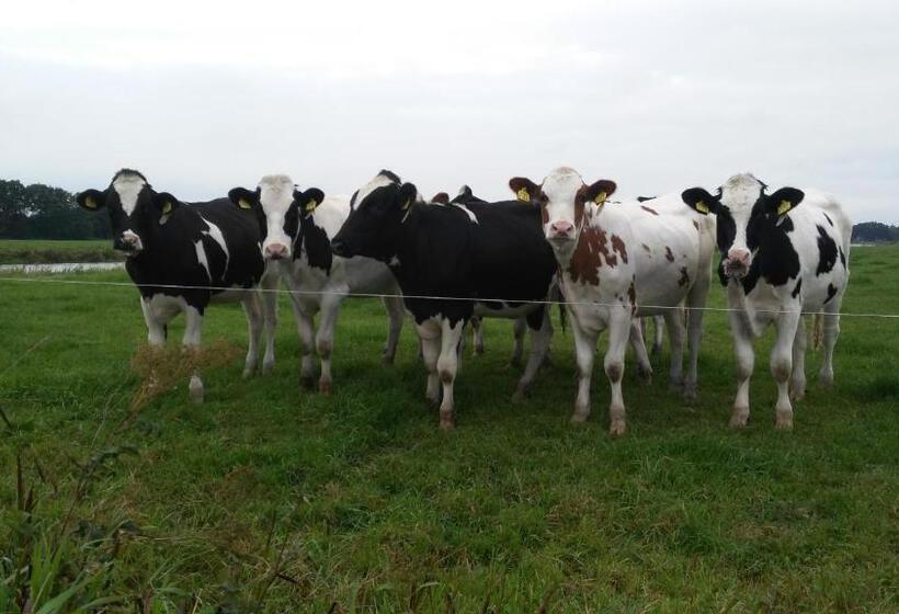 ベッドアンドブレックファースト Erve Praestinck