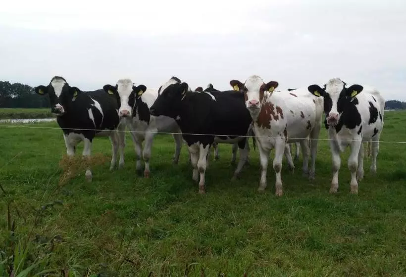 Aamiaismajoitus (B&B) Erve Praestinck