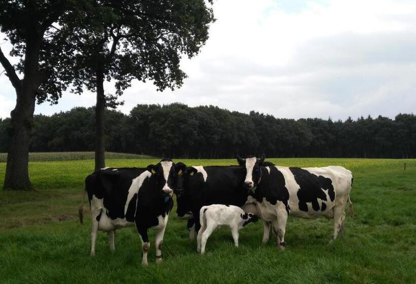 ベッドアンドブレックファースト Erve Praestinck