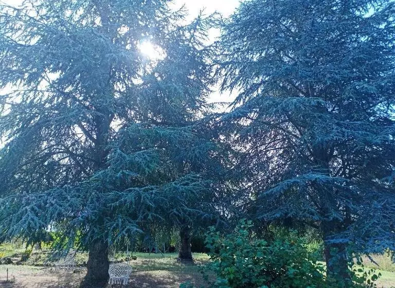 Bed and Breakfast Maison La Grande Serre