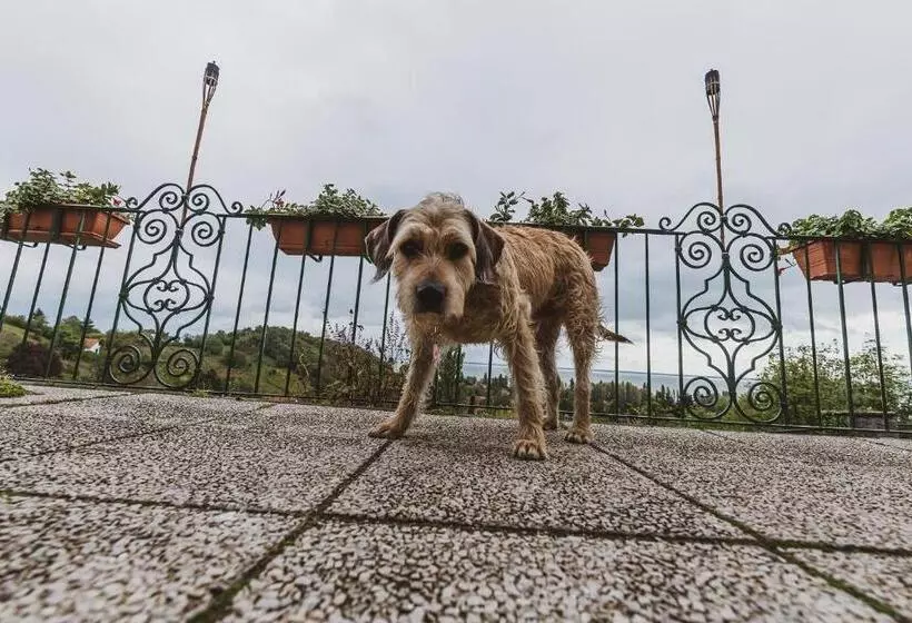 ベッドアンドブレックファースト Villa Kabala