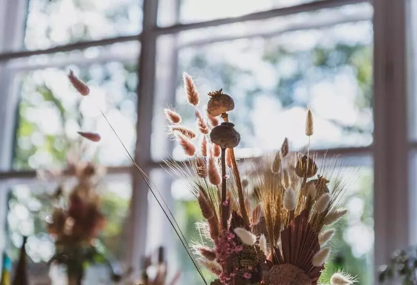 ベッドアンドブレックファースト Villa Kabala