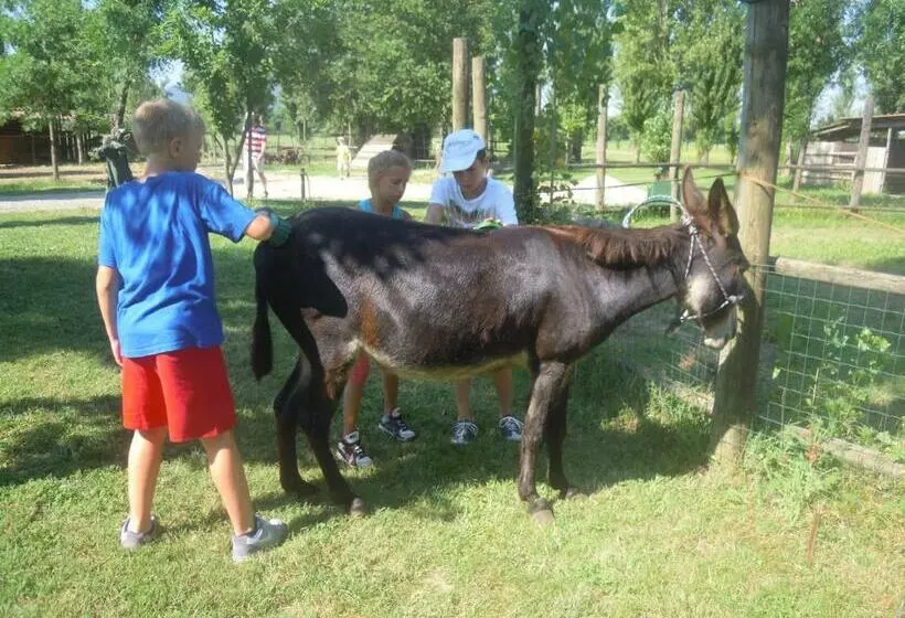 ホテル Agriturismo Biologico La Buona Terra