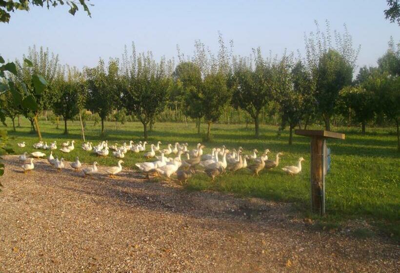 酒店 Agriturismo Biologico La Buona Terra