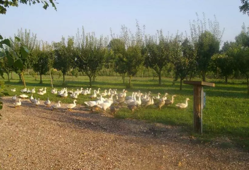 ホテル Agriturismo Biologico La Buona Terra