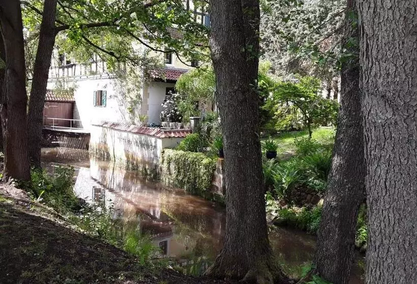 Hotelli Restaurant Bergmühle