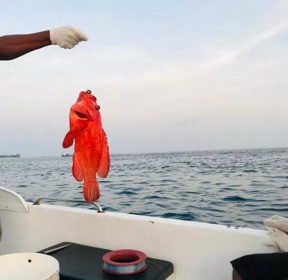 Hotel Sunny Beach Thoddoo