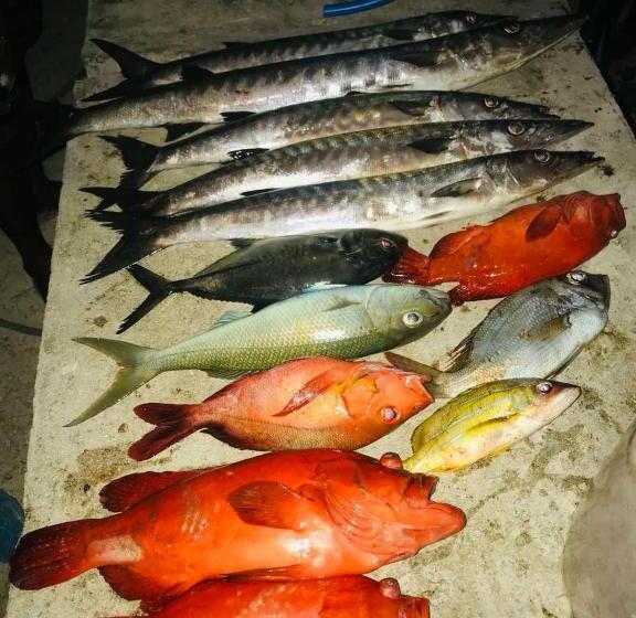 Hotel Sunny Beach Thoddoo