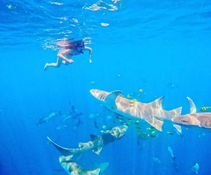 Hotel Sunny Beach Thoddoo