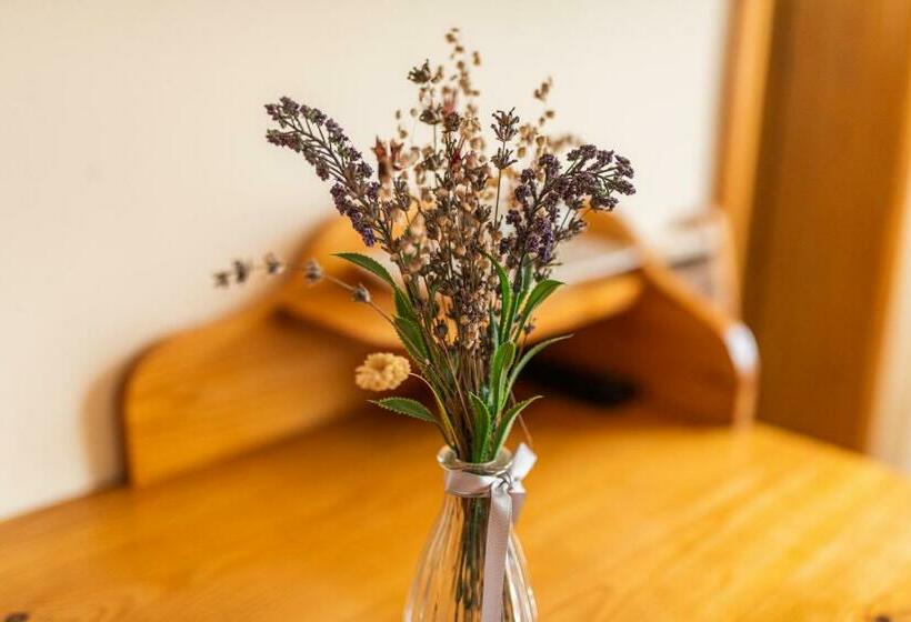 פנסיון Casa Sandina