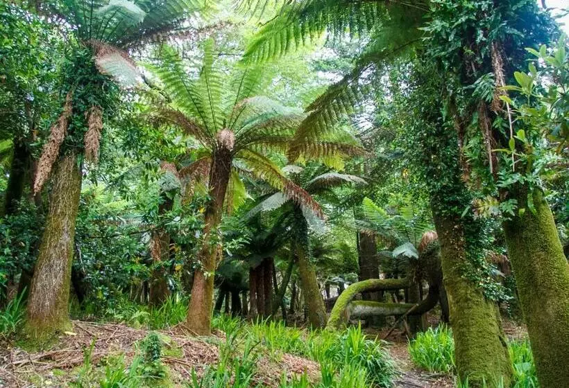 ペンション Kells Bay House And Gardens