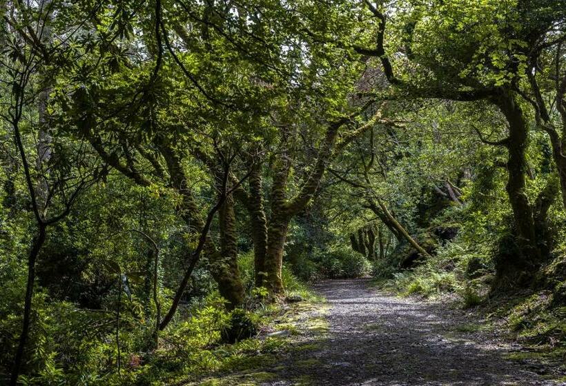 Пансион Kells Bay House And Gardens