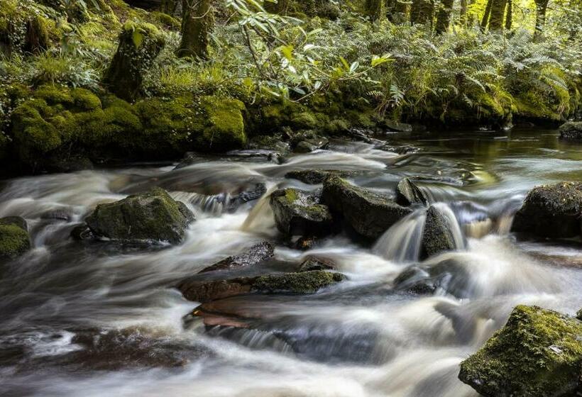 Пансион Kells Bay House And Gardens