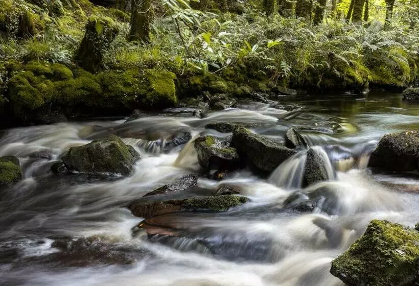 ペンション Kells Bay House And Gardens