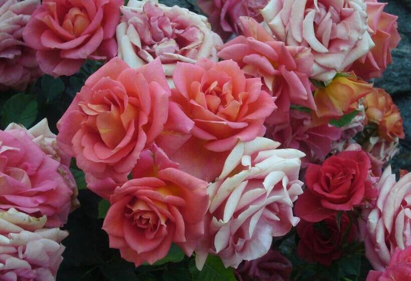 Пансион La Maison Du Bon Megnadzo