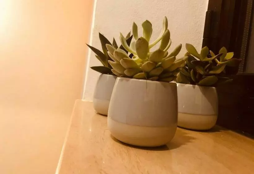 ペンション Pal Biel Affittacamere Avasinis