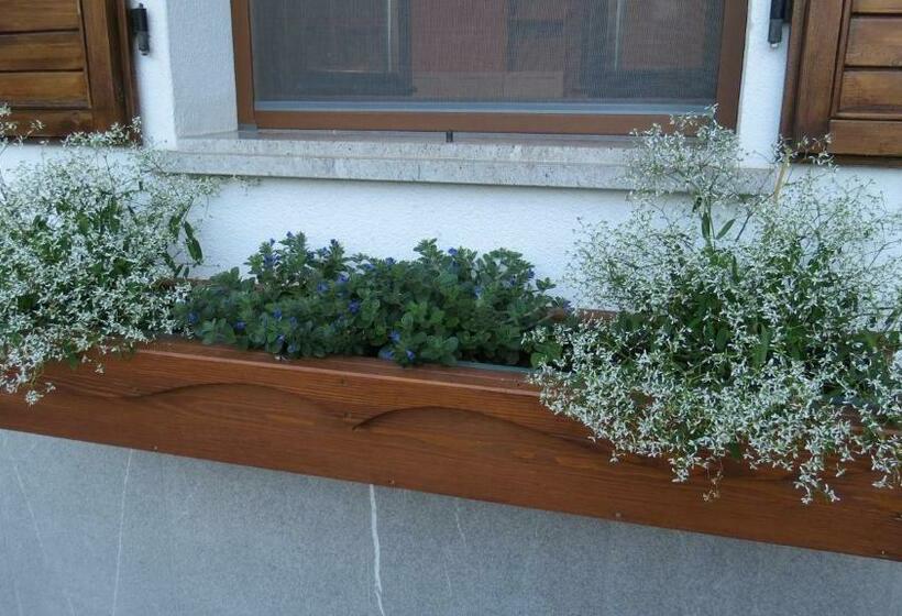 펜션 Pal Biel Affittacamere Avasinis