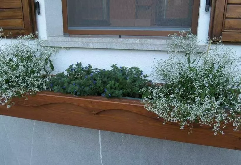 ペンション Pal Biel Affittacamere Avasinis