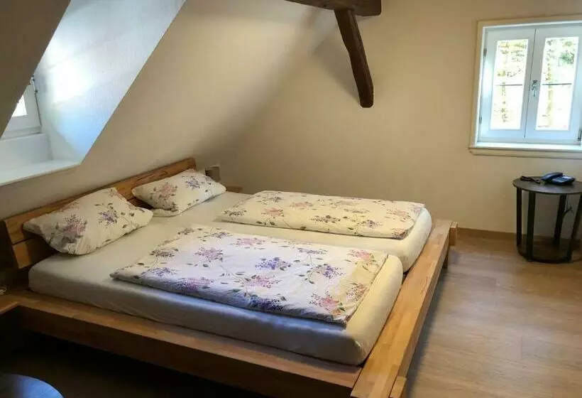 Pension Untere Mühle