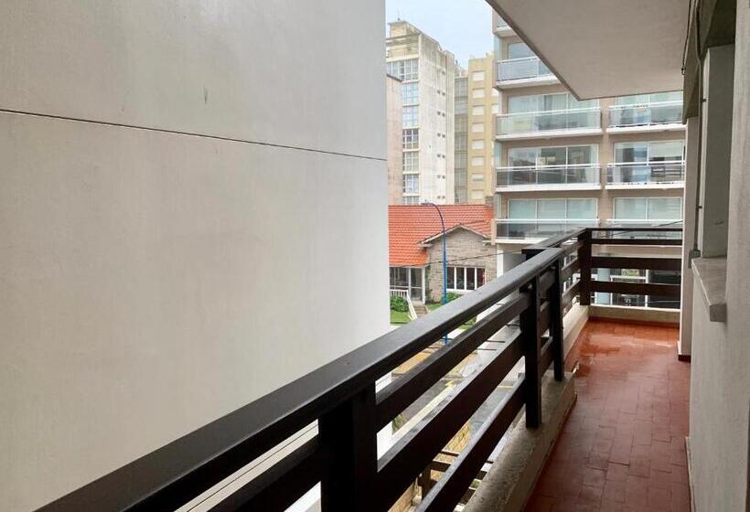 Cabo Corrientes Center