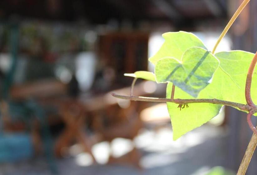 پانسیون Casa Ella