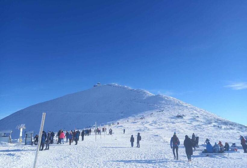 Пансион Apartmány Yellow