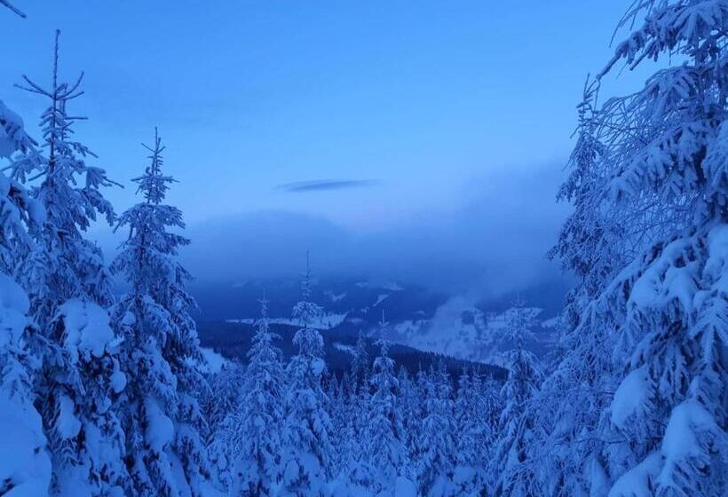 Пансион Apartmány Yellow