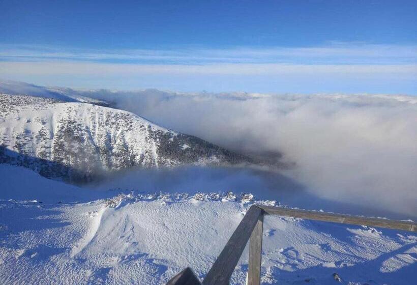 Пансион Apartmány Yellow