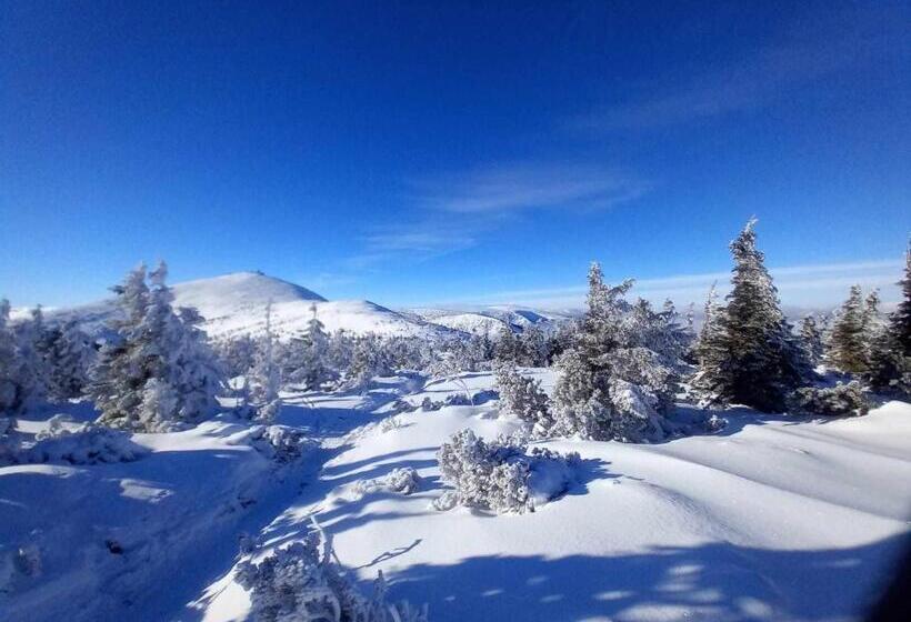 Пансион Apartmány Yellow