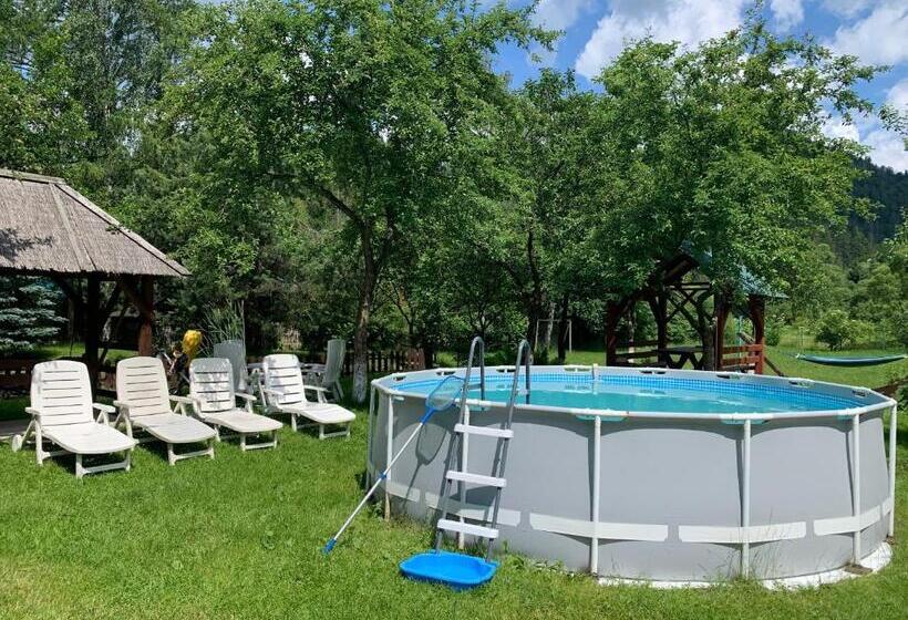 بنسيون Sadyba Lesivykh