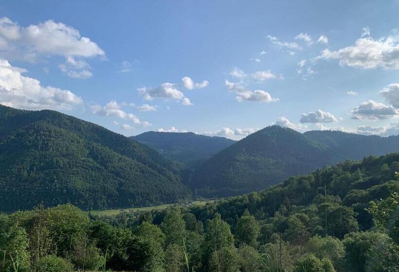 بنسيون Sadyba Lesivykh